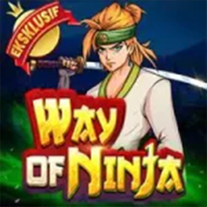 Way Ninja
